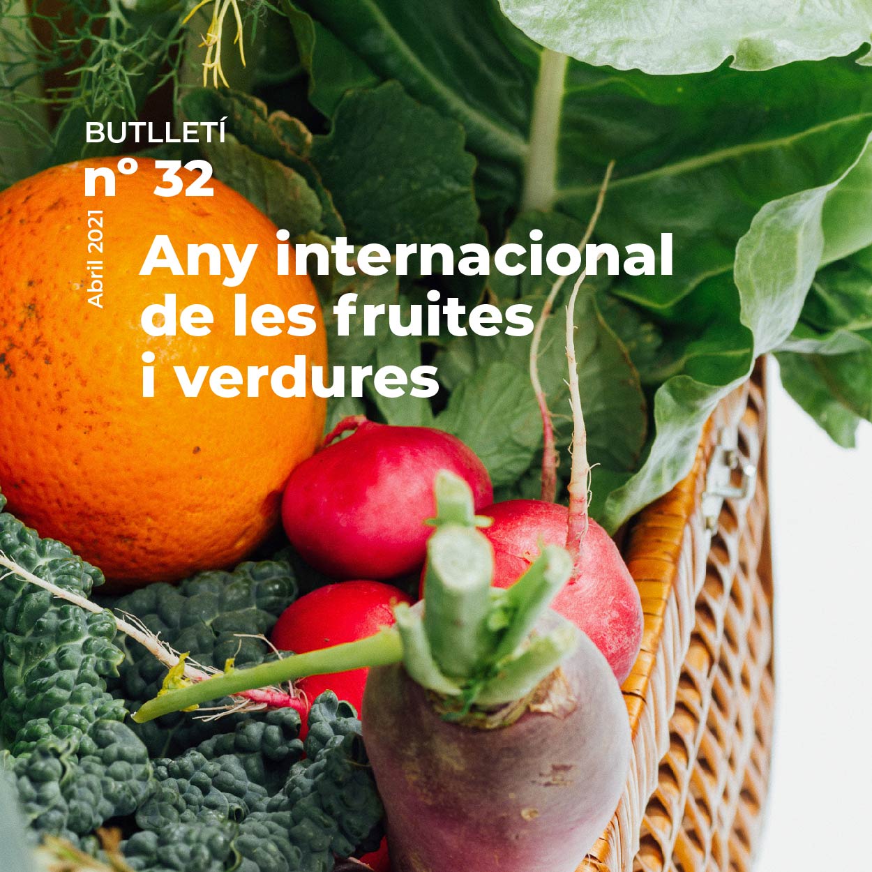 Butlletí 32 Any internacional de les fruites i verdures
