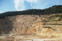 Explotación minera en terreno forestal en fase de explotación