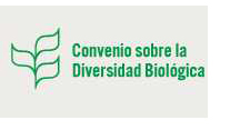 Logotipo Convenio sobre la Diversidad Biologica